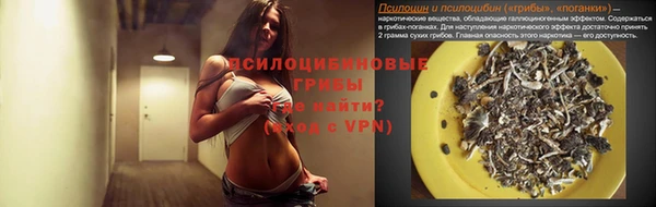 a pvp Аркадак